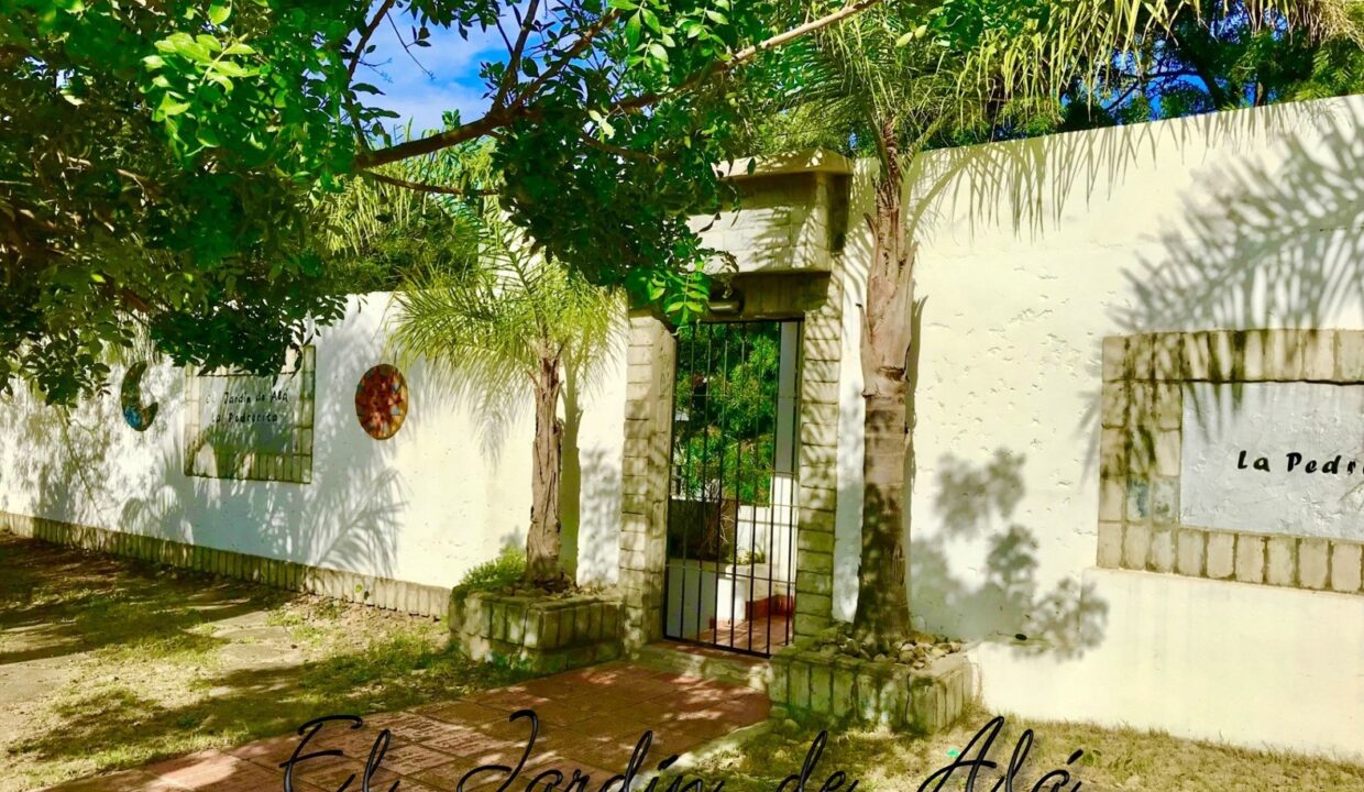 01 El Jardín de Alá 2025