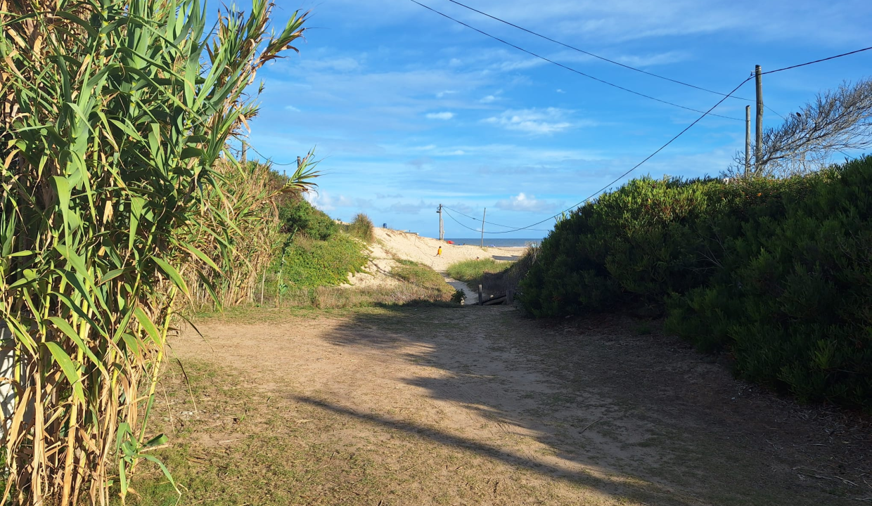 5f3fe164-f07c-4e30-8391-9f41606eb965