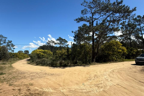 3bf94ac2-7593-40a8-b27c-94fd53cf4fe9