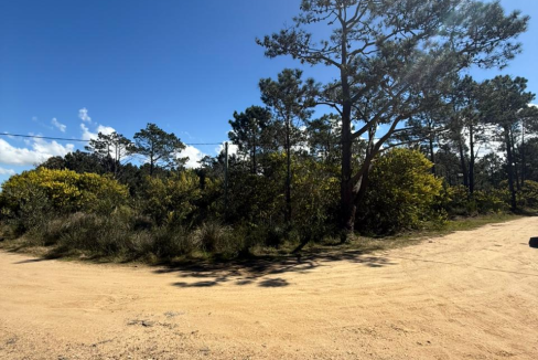 7191f4f8-37df-44b0-949e-c77e593b5f39