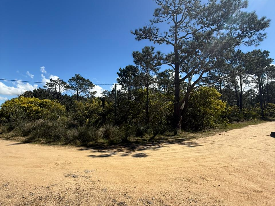 7191f4f8-37df-44b0-949e-c77e593b5f39