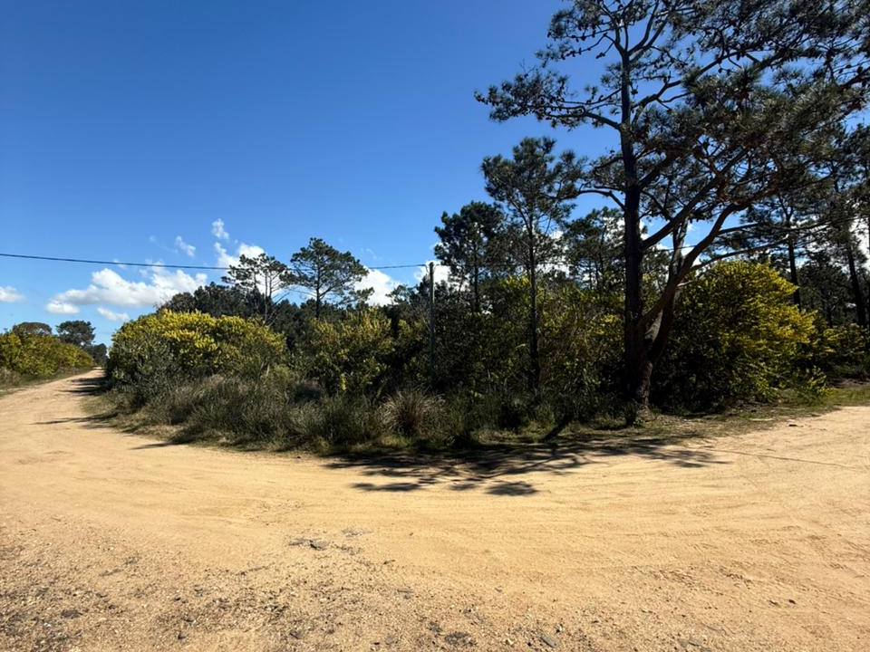 970df4e8-be4a-42e0-8c8d-388ccbb8f14d