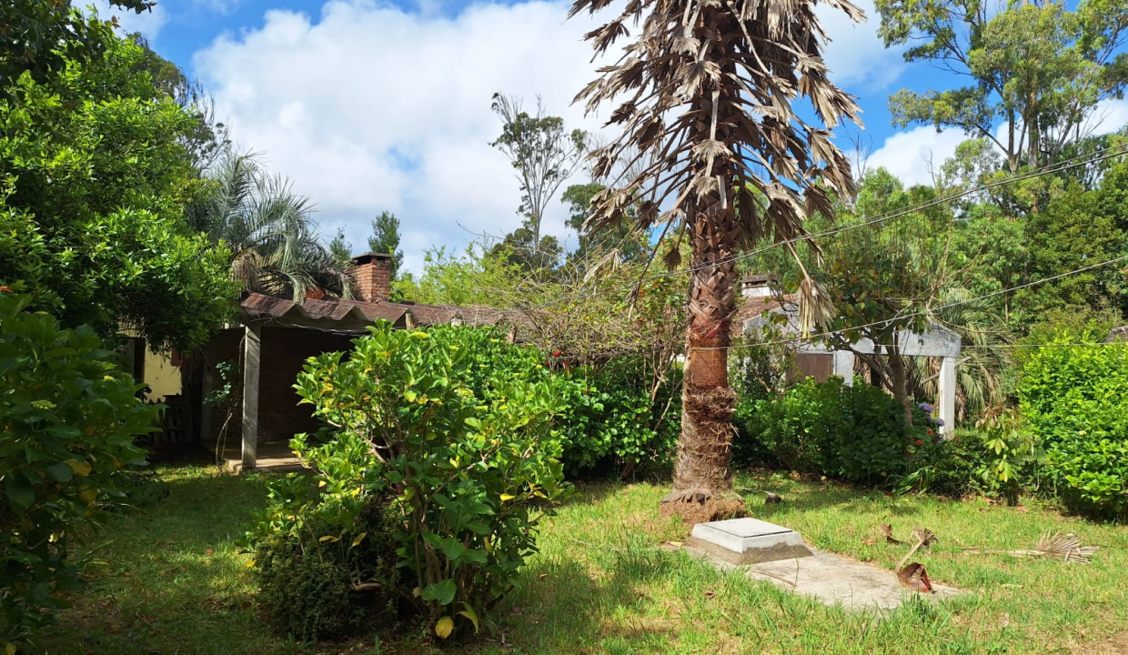 0c01cccd-3061-4020-a02e-47316c75216b