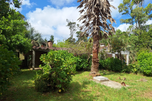 0c01cccd-3061-4020-a02e-47316c75216b