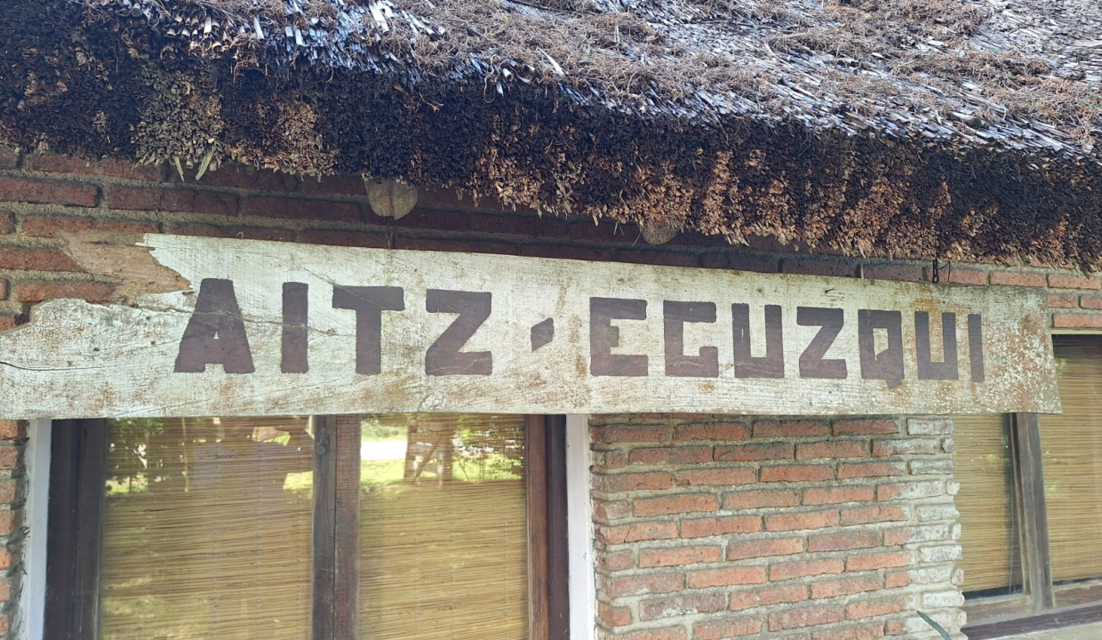 6703ced3-b980-4955-bc04-408e222716b0