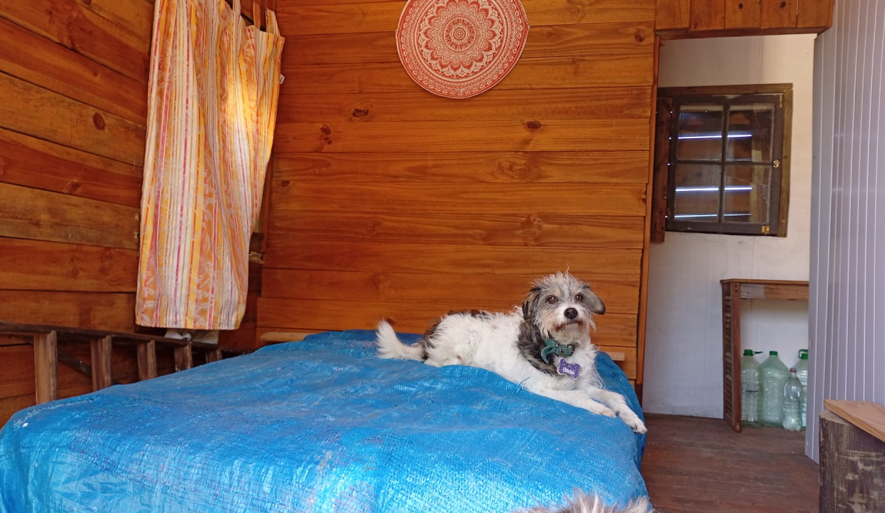 78acdf6e-1573-4a8a-a144-08557e7701e9