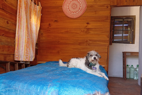 78acdf6e-1573-4a8a-a144-08557e7701e9