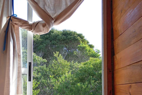 86dd557c-0562-4e10-b8ac-82090dc9b128