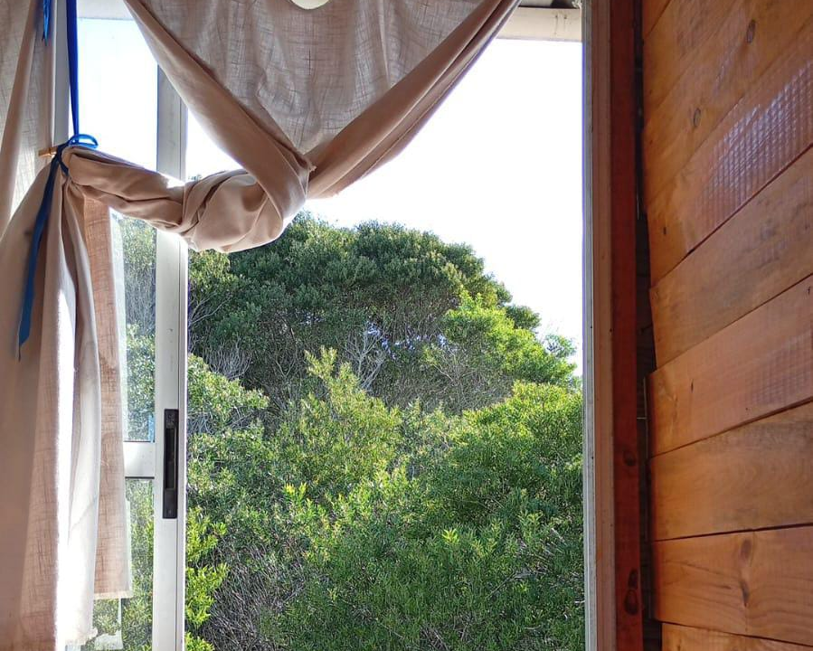 86dd557c-0562-4e10-b8ac-82090dc9b128