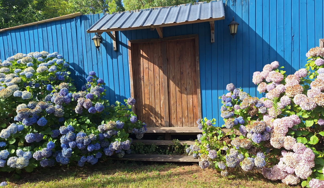 3397430c-b45d-44b7-82b5-711ff462edeb