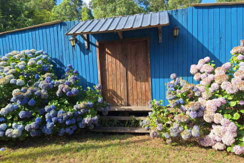 3397430c-b45d-44b7-82b5-711ff462edeb