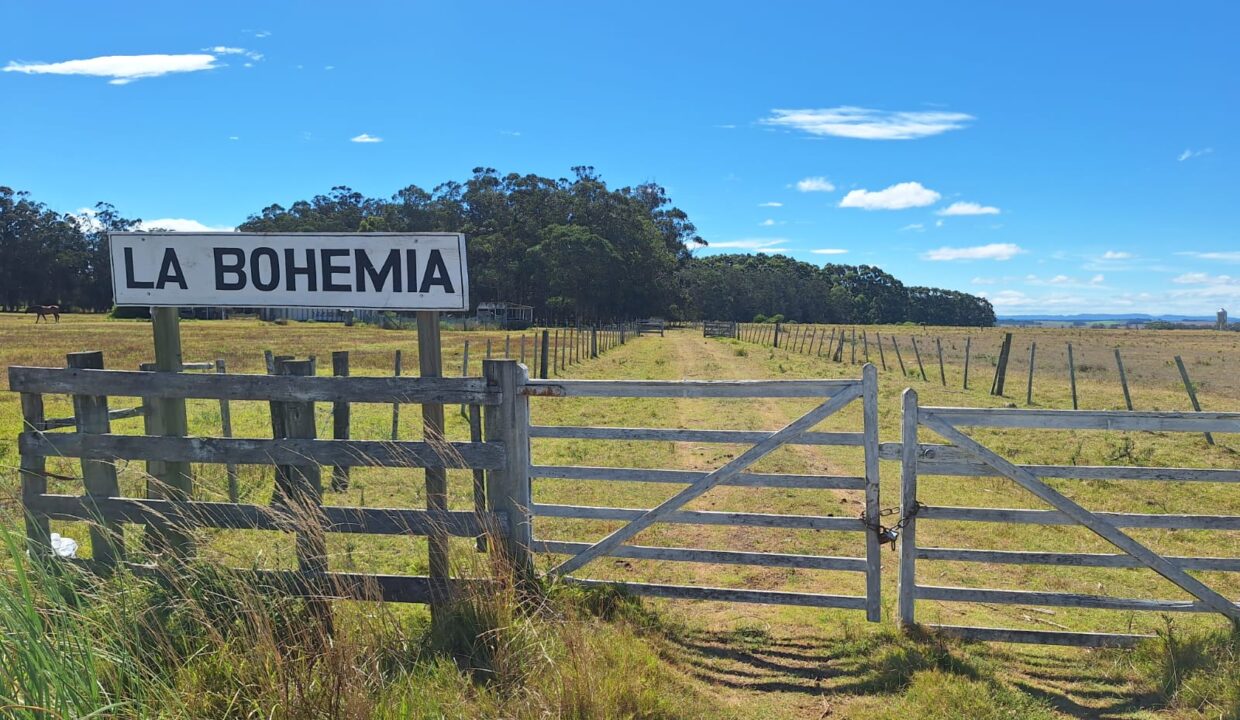 4a617629-fb97-4425-843c-ba95305f5e0c