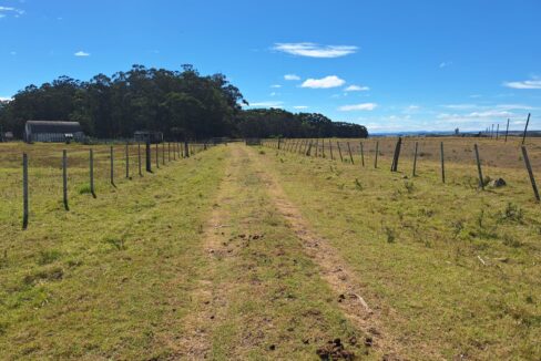 76d8bd2a-d3e4-48b6-8dec-fb7618ee1108