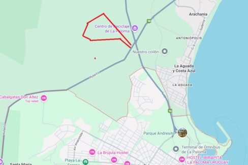 Captura de pantalla 2026-01-10 170204