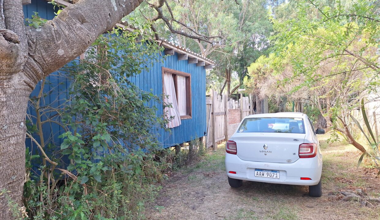 d6a94ada-c927-4304-bd12-4361318dad32