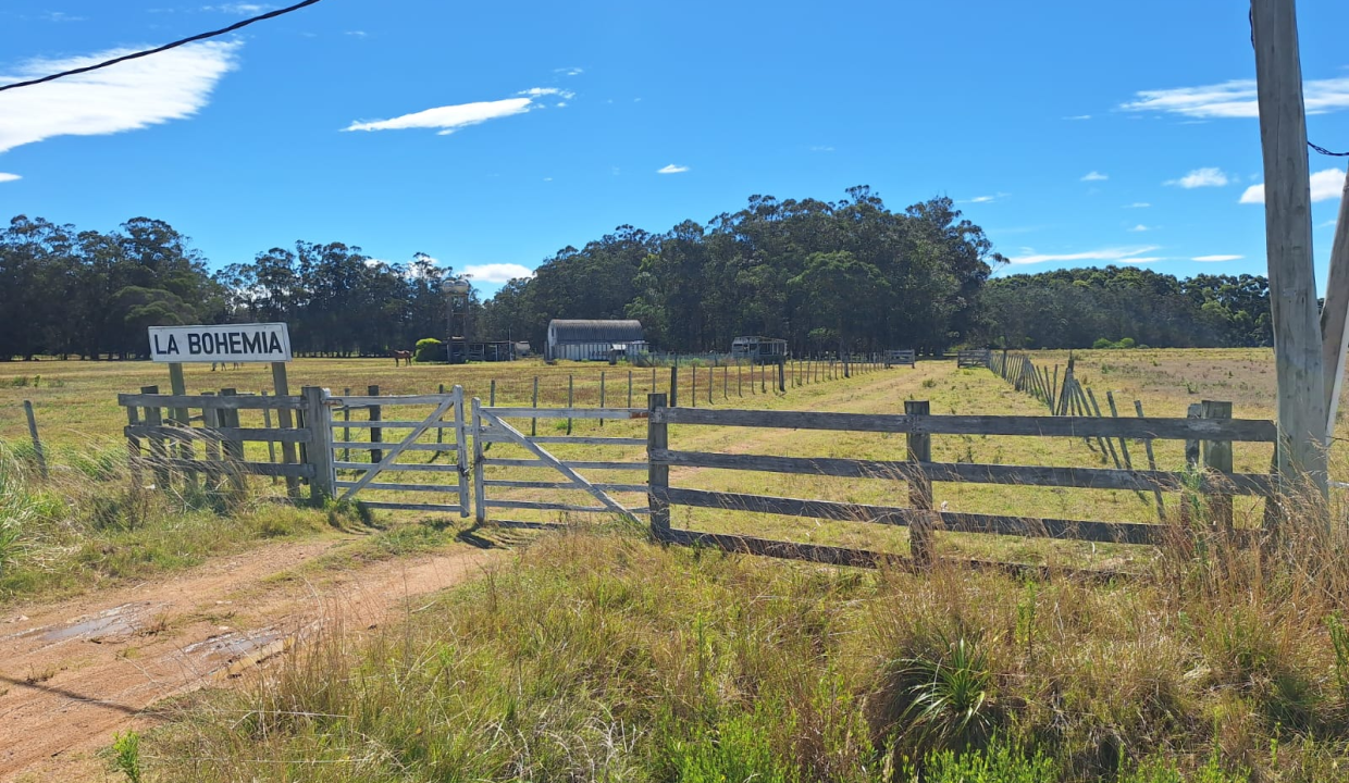 f4c38f62-698f-4308-8e8b-a2086bd39158